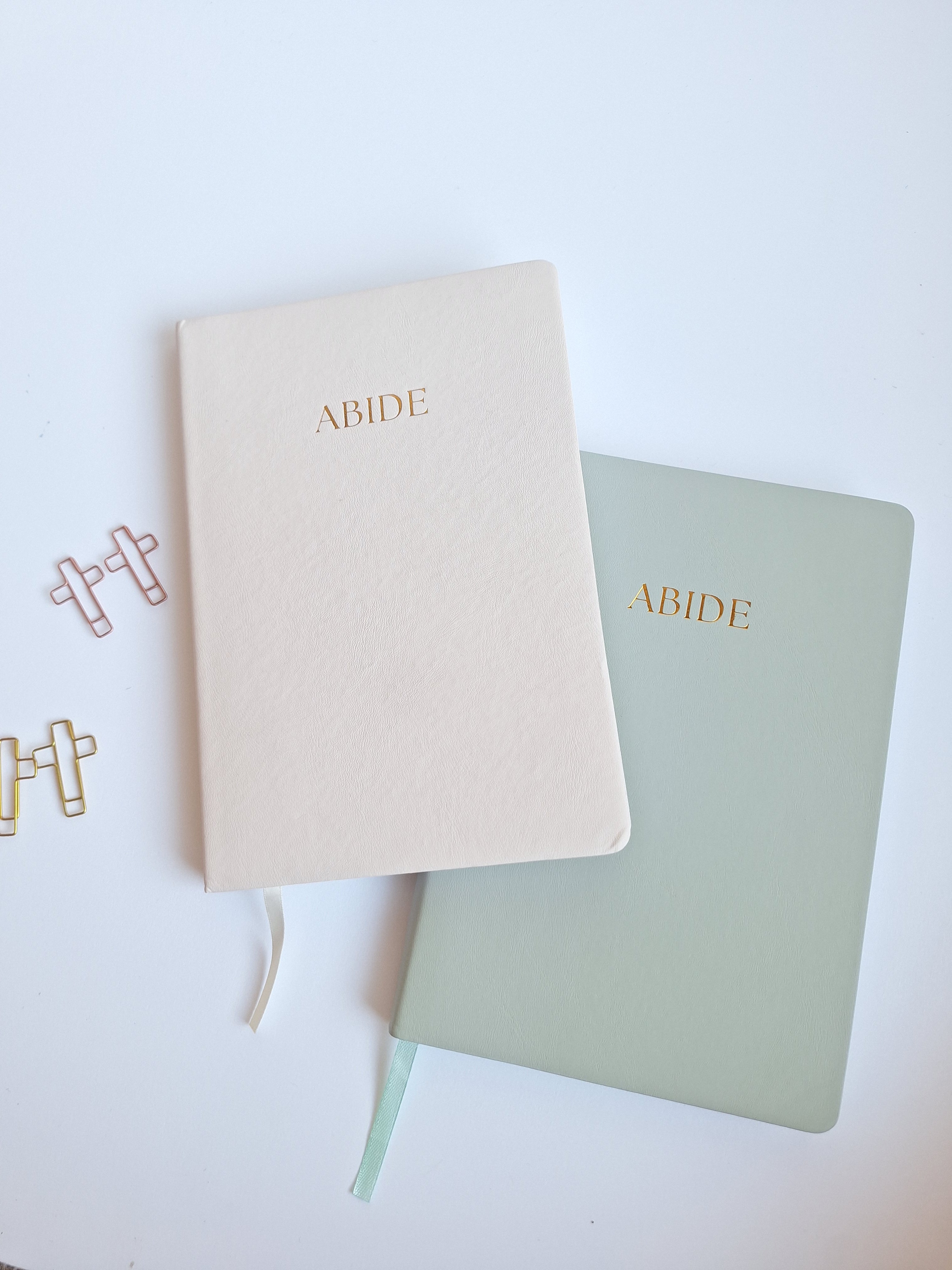 ABIDE