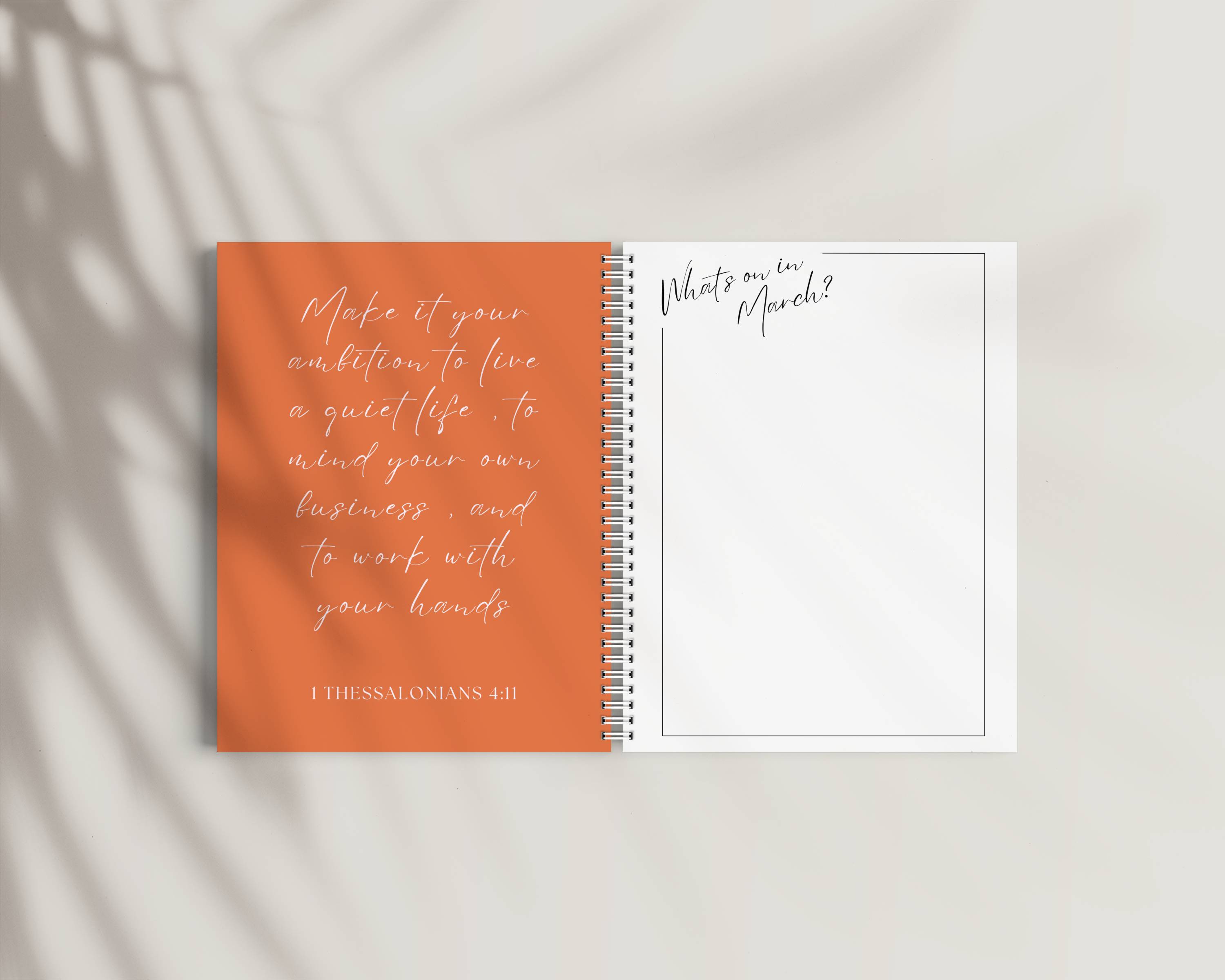 2026 Checkered Orange